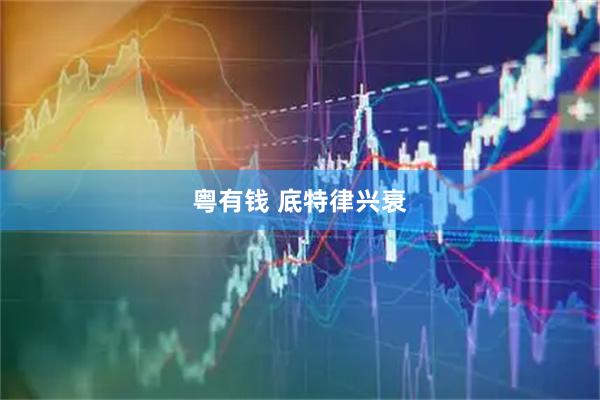 粤有钱 底特律兴衰