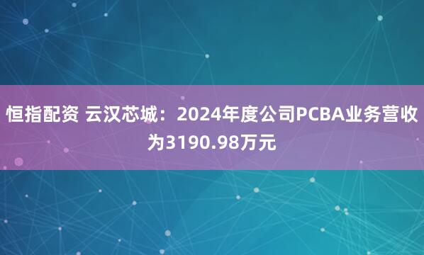 恒指配资 云汉芯城：2024年度公司PCBA业务营收为3190.98万元