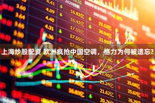 上海炒股配资 欧洲疯抢中国空调，格力为何被遗忘?